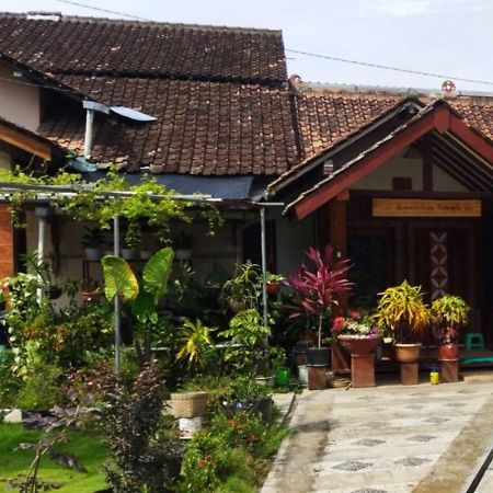 Borobudur Cluster Homestay Candirejo Syariah Mendut Exterior photo