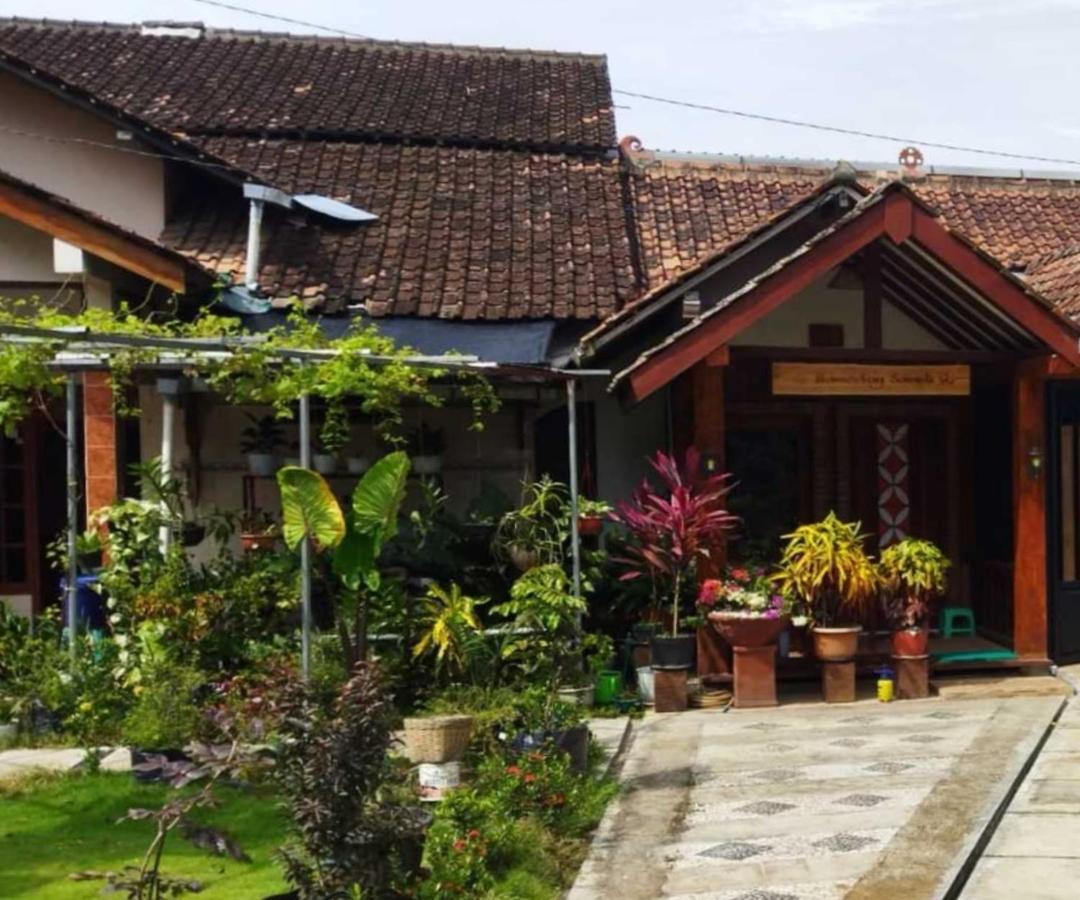 Borobudur Cluster Homestay Candirejo Syariah Mendut Exterior photo